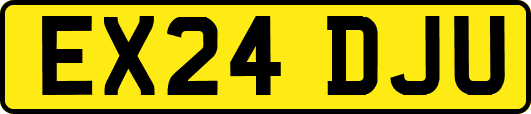 EX24DJU