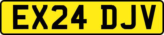 EX24DJV