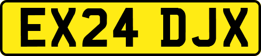 EX24DJX