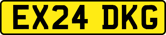 EX24DKG