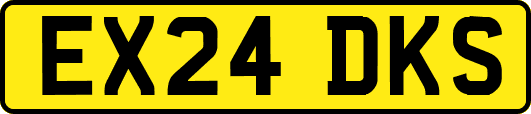 EX24DKS