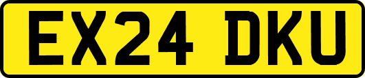 EX24DKU