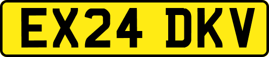 EX24DKV