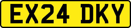 EX24DKY