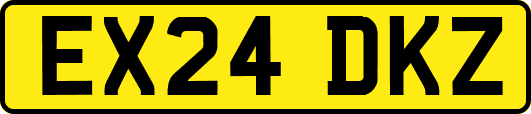 EX24DKZ