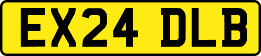 EX24DLB
