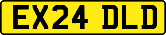 EX24DLD