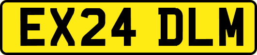 EX24DLM