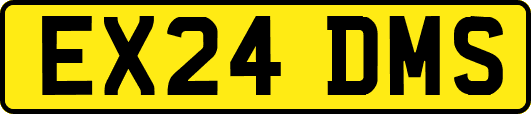 EX24DMS