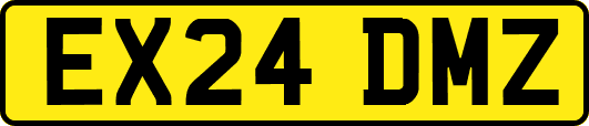 EX24DMZ