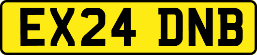 EX24DNB