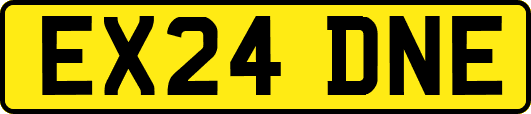 EX24DNE