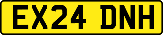 EX24DNH