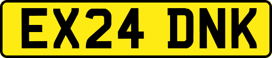 EX24DNK