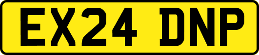 EX24DNP