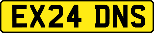 EX24DNS