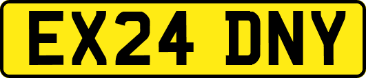 EX24DNY