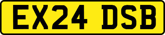 EX24DSB