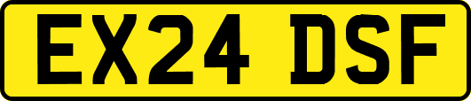 EX24DSF