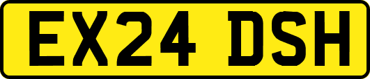 EX24DSH