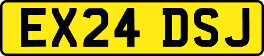 EX24DSJ
