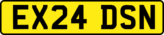 EX24DSN