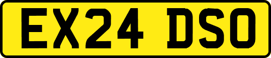 EX24DSO