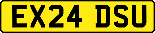 EX24DSU