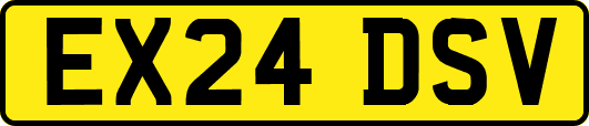 EX24DSV
