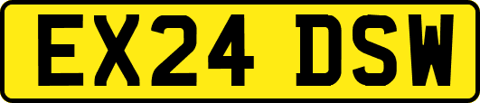 EX24DSW