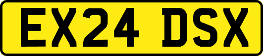 EX24DSX