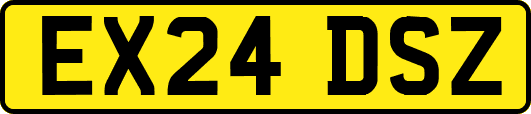 EX24DSZ