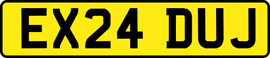 EX24DUJ