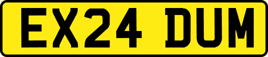 EX24DUM