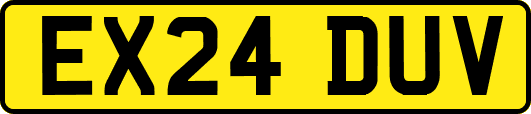 EX24DUV