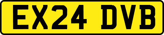 EX24DVB