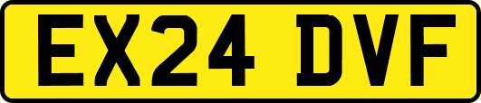 EX24DVF