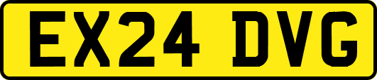 EX24DVG