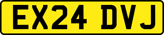 EX24DVJ