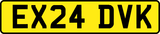EX24DVK