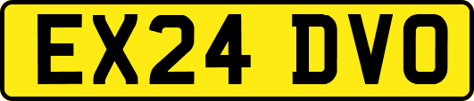 EX24DVO