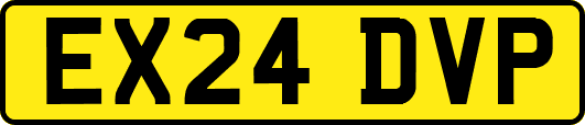EX24DVP