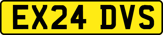 EX24DVS