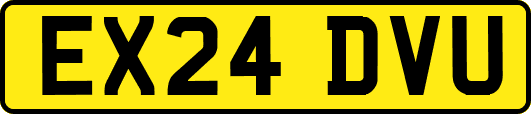 EX24DVU