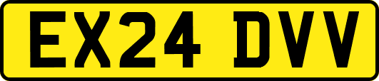 EX24DVV