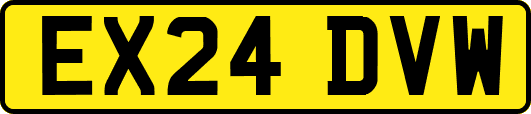 EX24DVW