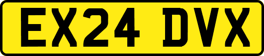 EX24DVX