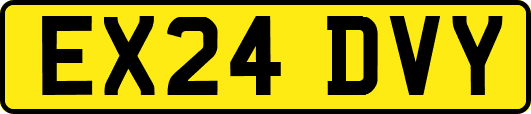 EX24DVY