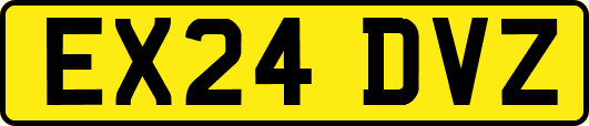 EX24DVZ