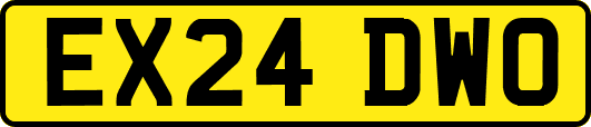 EX24DWO